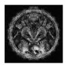 ANCIENT EMBLEM/SOCIAL CRISIS - Ancient Emblem / Social Crisis LP