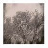 BEHEAT GORUM DE MENTHEURD - The Frostbitten Path CD Digipack