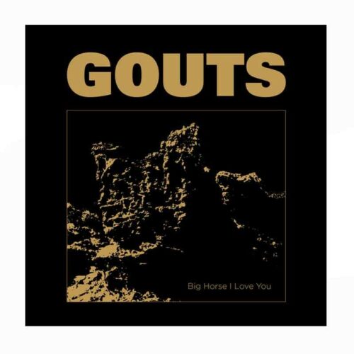 GOUTS - Big Horse I Love You LP