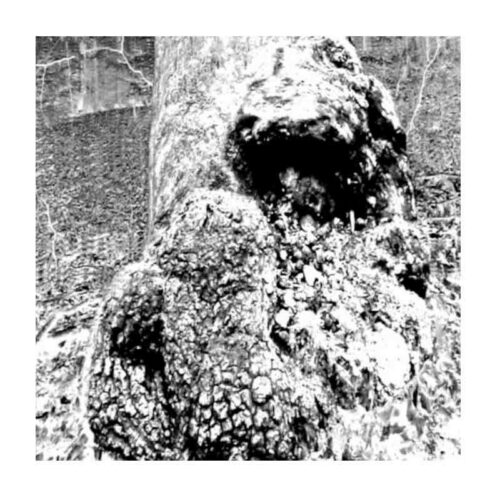 SIECHTUM - Hinab CD Ed. Ltd.