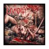 LIVIDITY - The Age Of Clitoral Decay LP Vinilo Negro. Ed. Ltd.