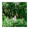 OSCURO CULTO - Ascension 10" EP, Ed. Ltd.