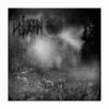 LIKTJERN - I Ruiners LP Vinilo Negro, Ed.Ltd.