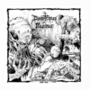 DISASTROUS MURMUR - Skinning Beginning 1989 - 1991 CD, Ed. Ltd